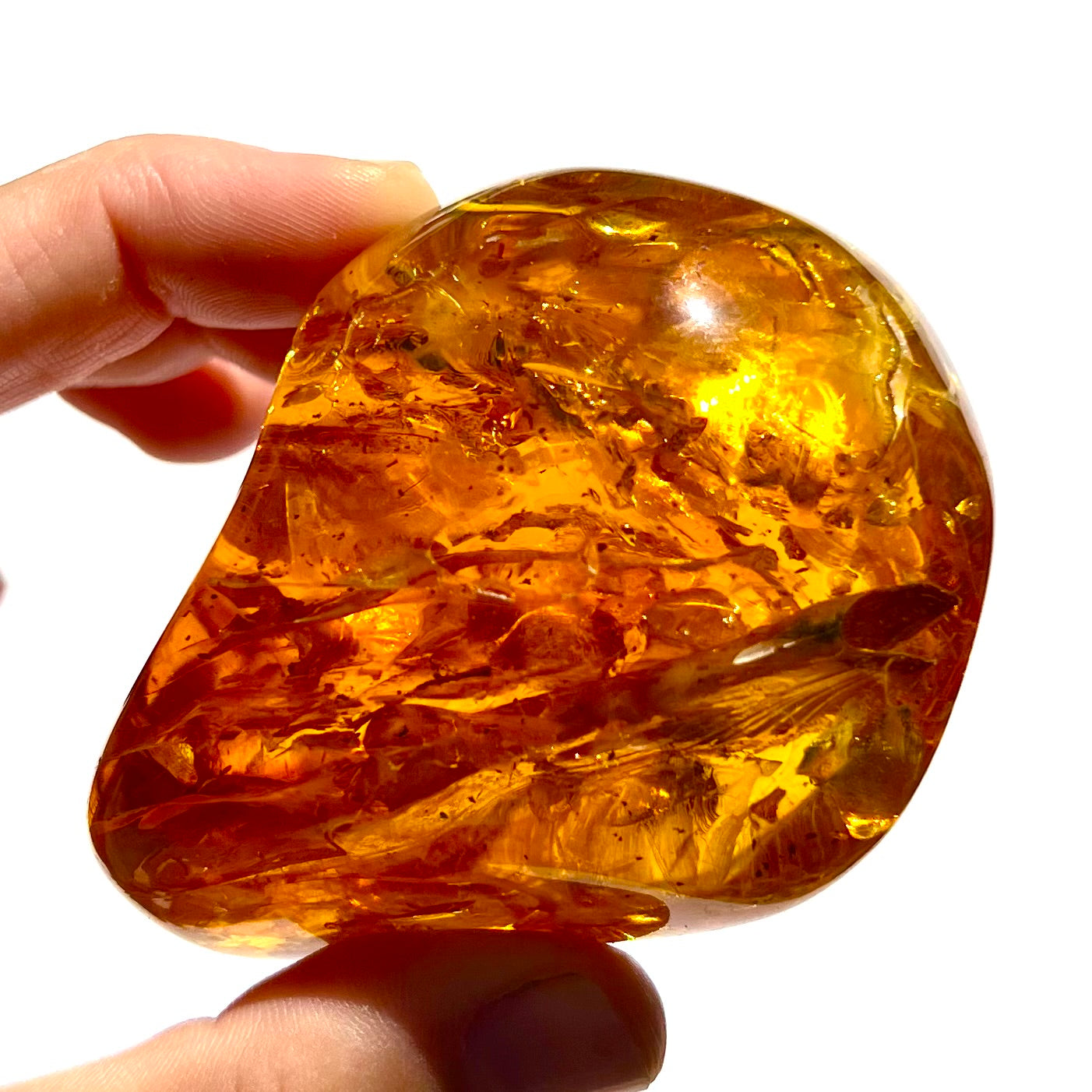 Ambre 1