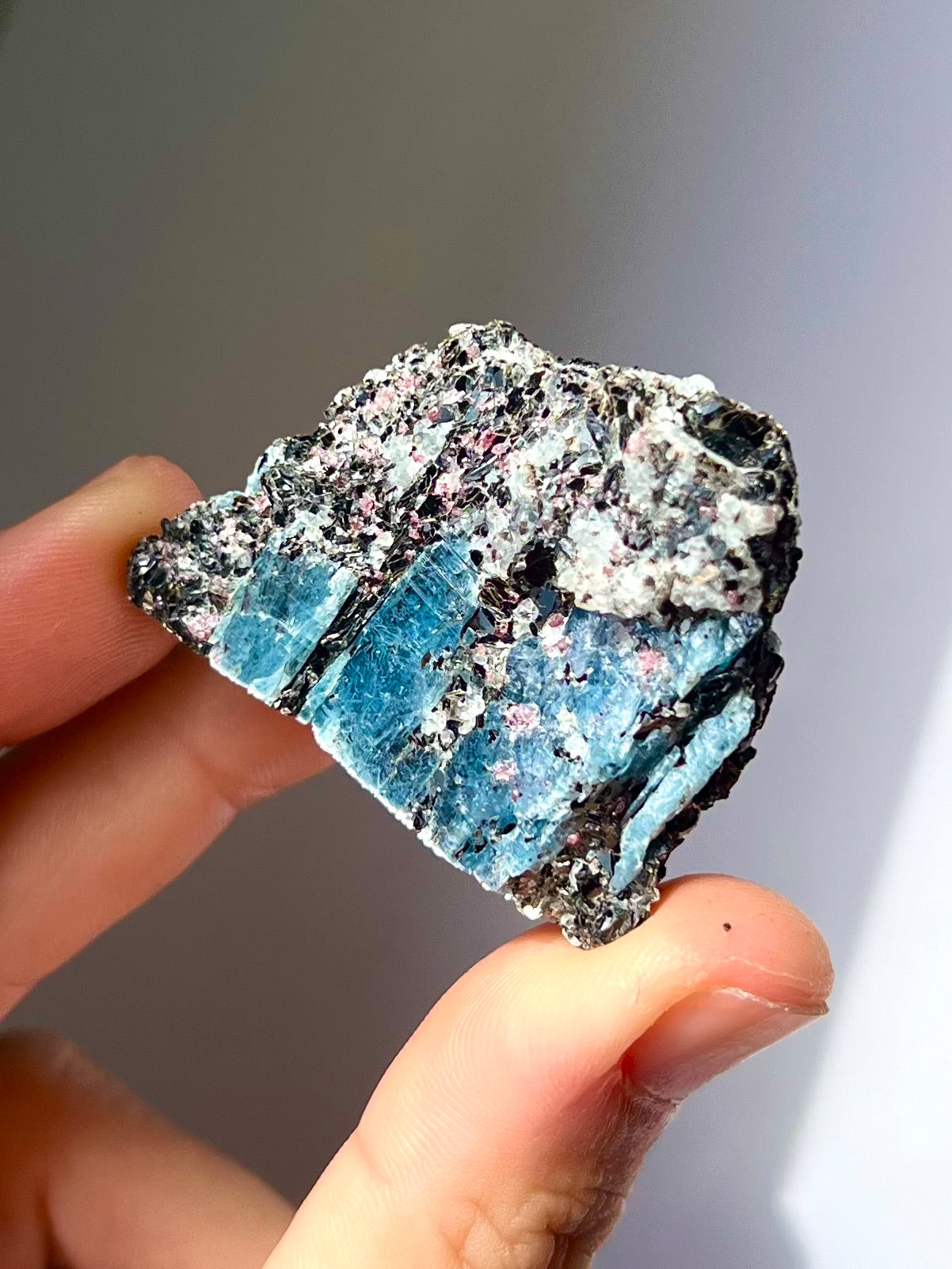 Spécimen Cyanite / Grenat / Biotite / Albite / Quartz 5