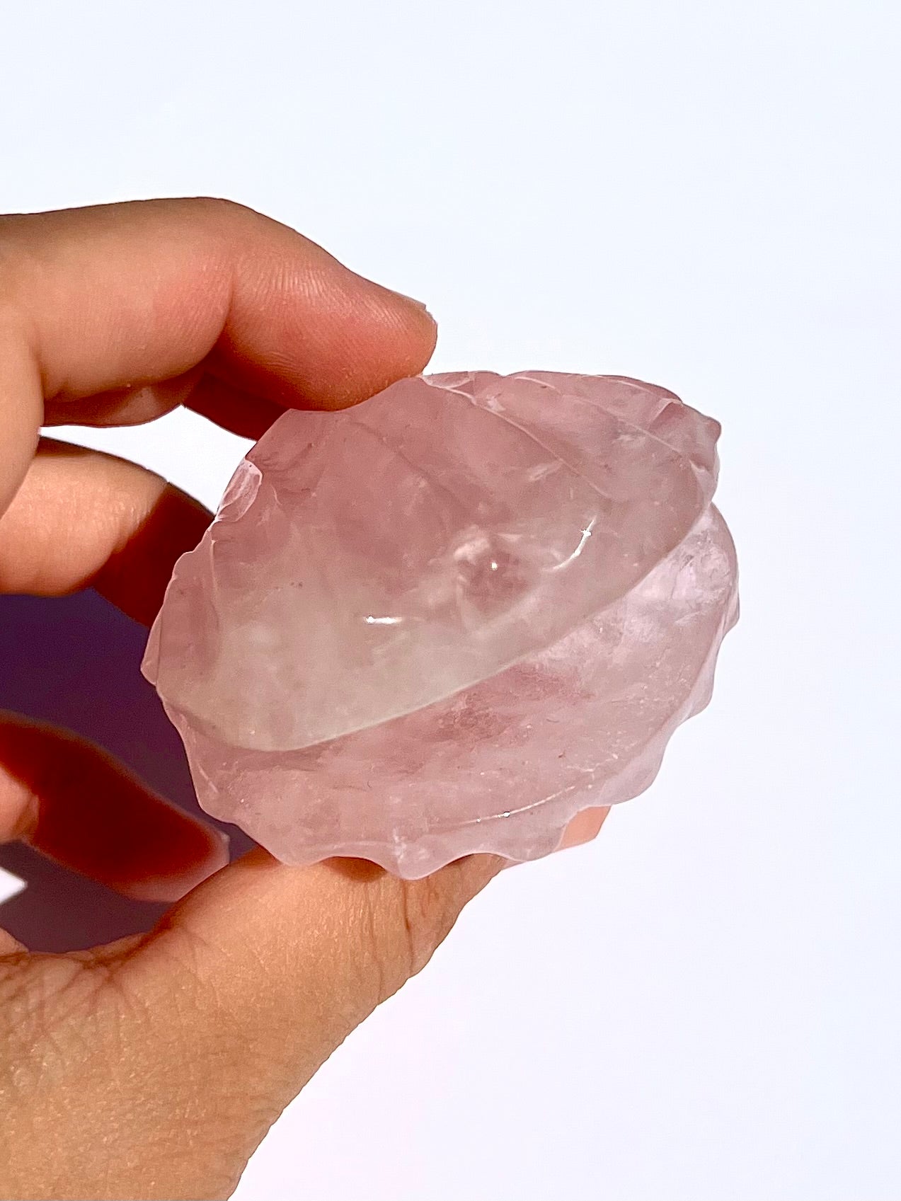 Coquillage en Quartz rose 1