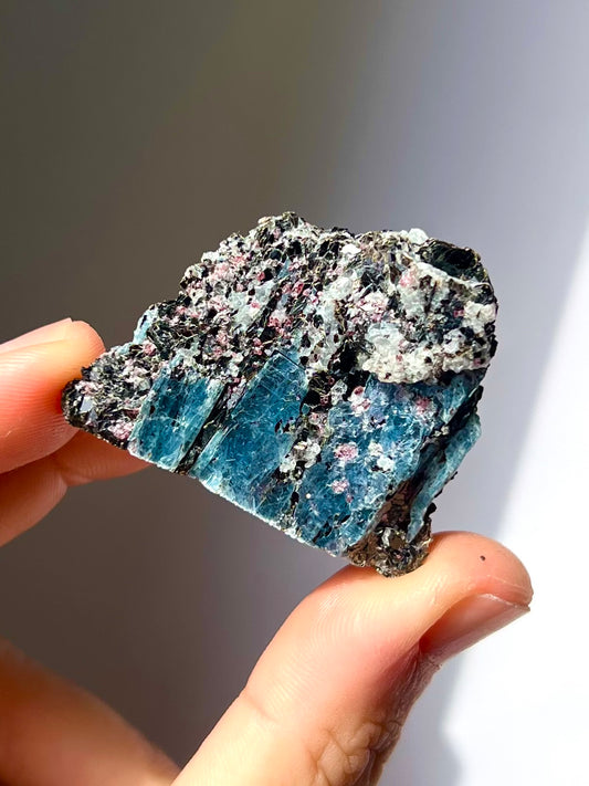 Spécimen Cyanite / Grenat / Biotite / Albite / Quartz 5