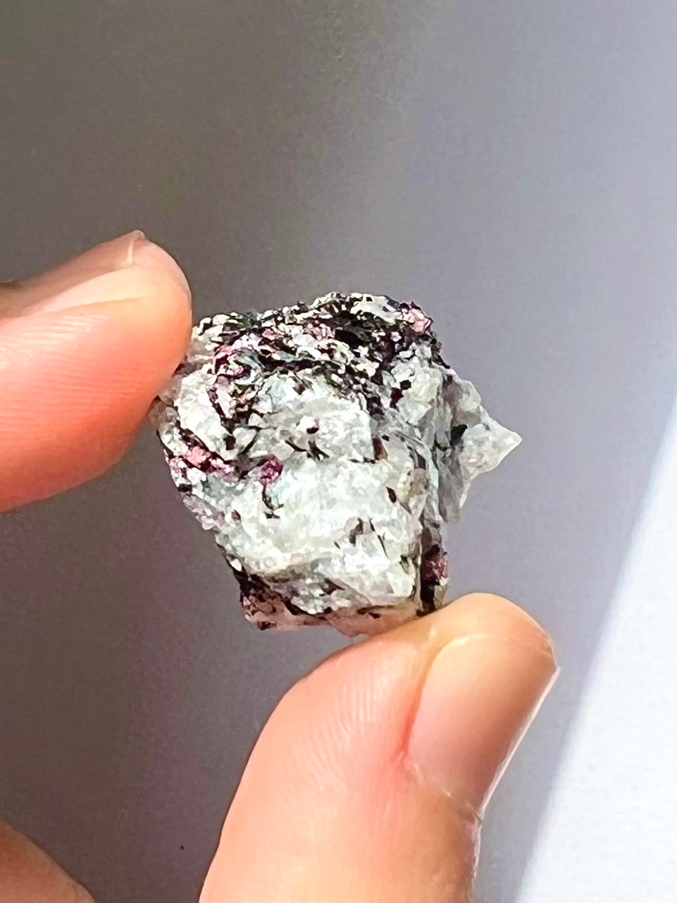 Spécimen Cyanite / Grenat / Biotite / Albite / Quartz 6