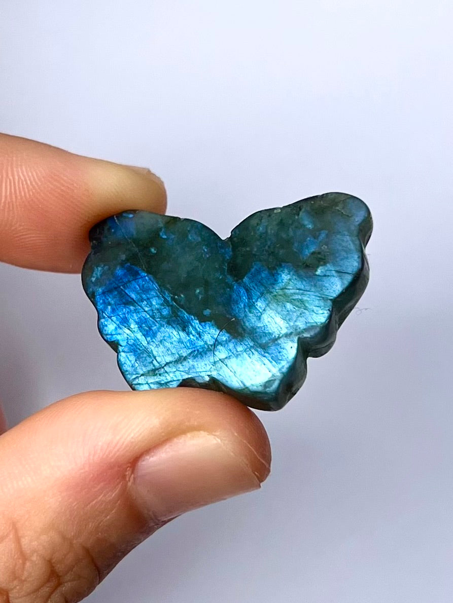 Papillon en Labradorite 7