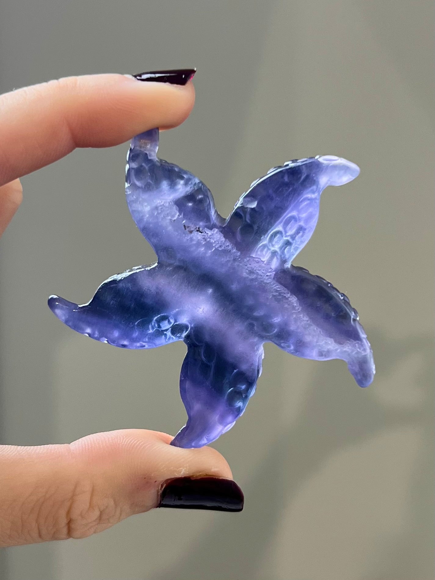 Étoile de mer en Fluorite 4