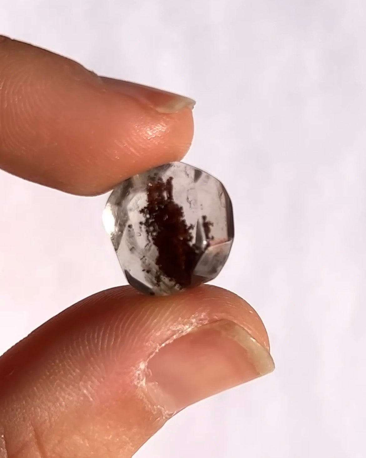 Lodolite / Quartz jardin 4