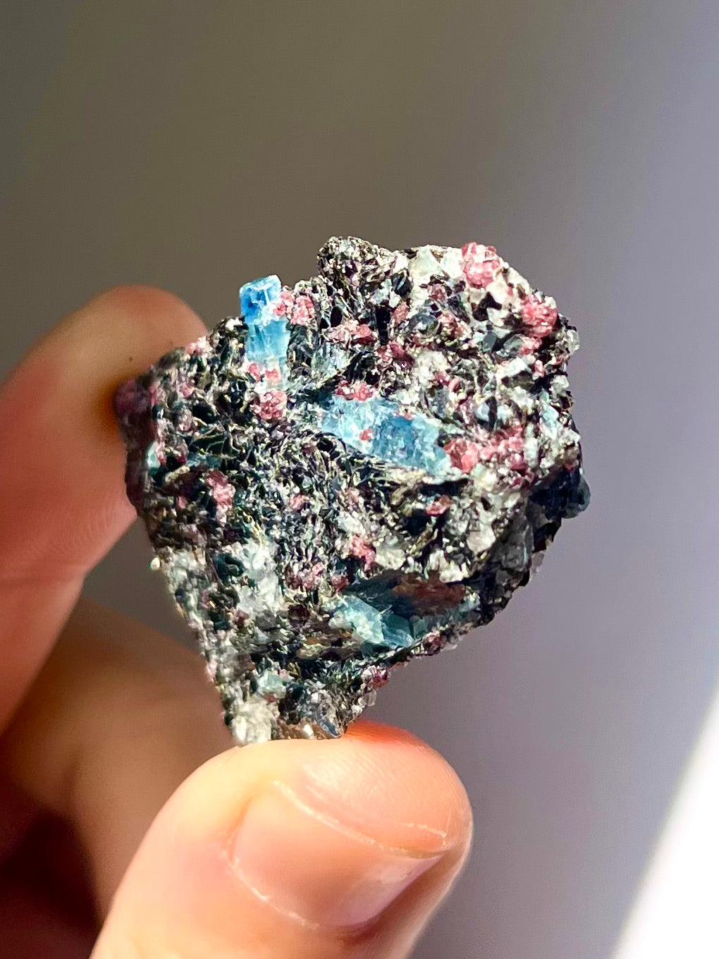 Spécimen Cyanite / Grenat / Biotite / Albite / Quartz 3