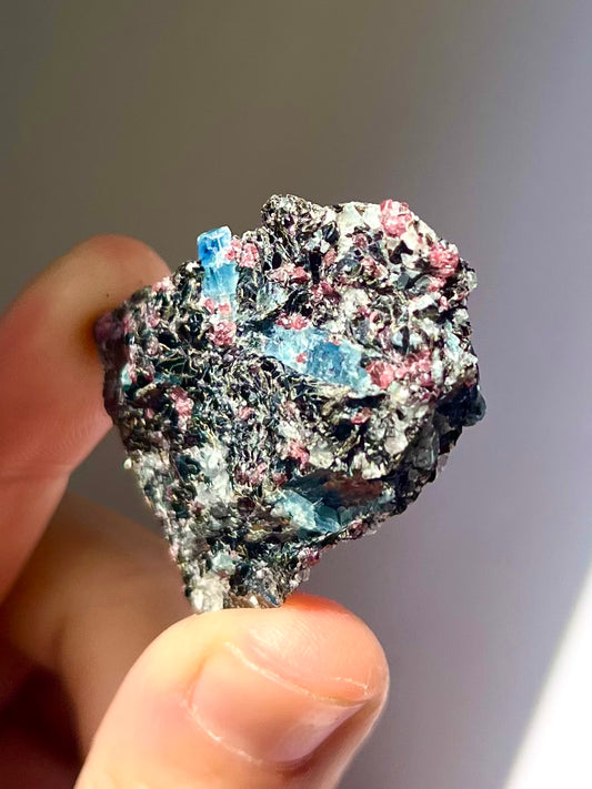Spécimen Cyanite / Grenat / Biotite / Albite / Quartz 3