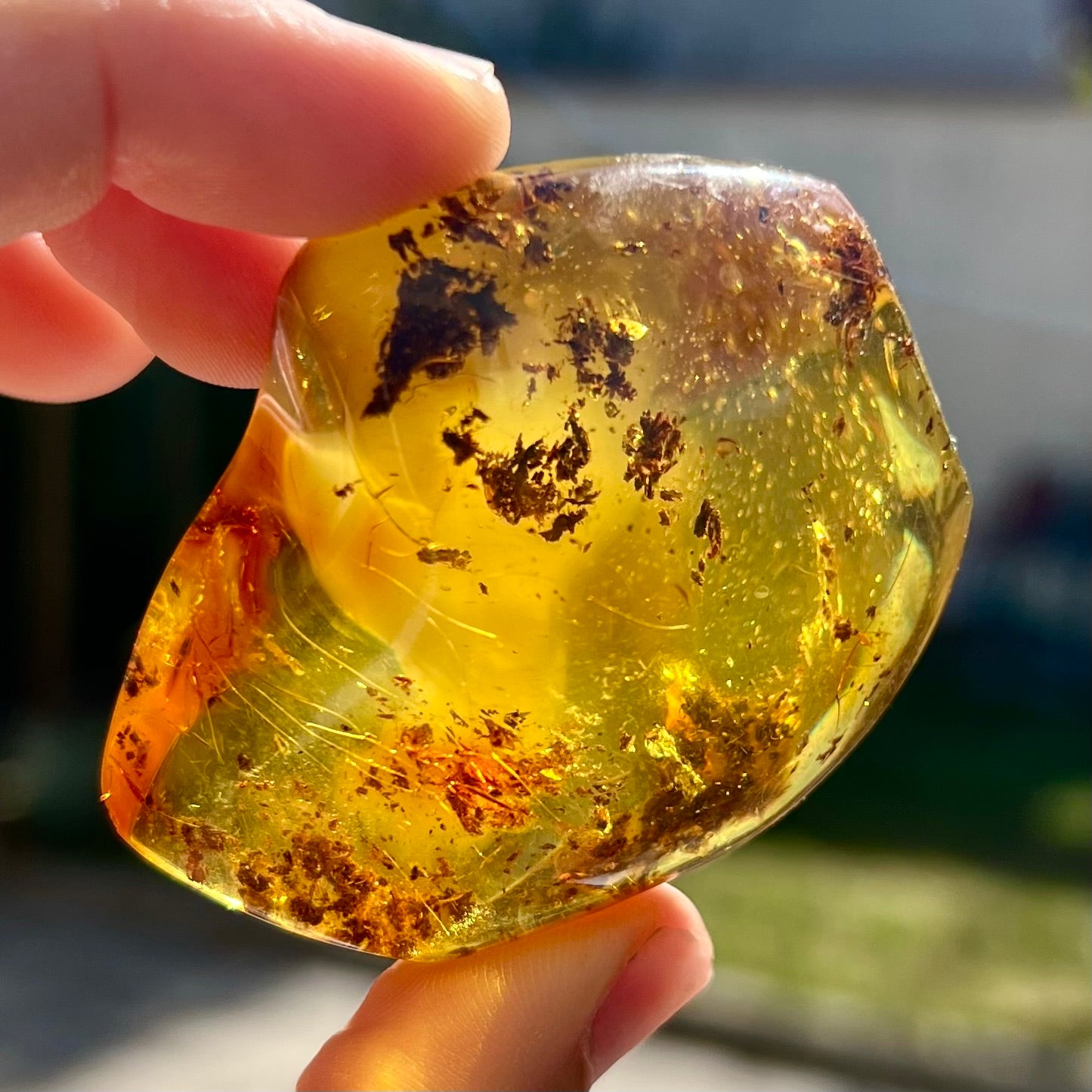 Ambre 3