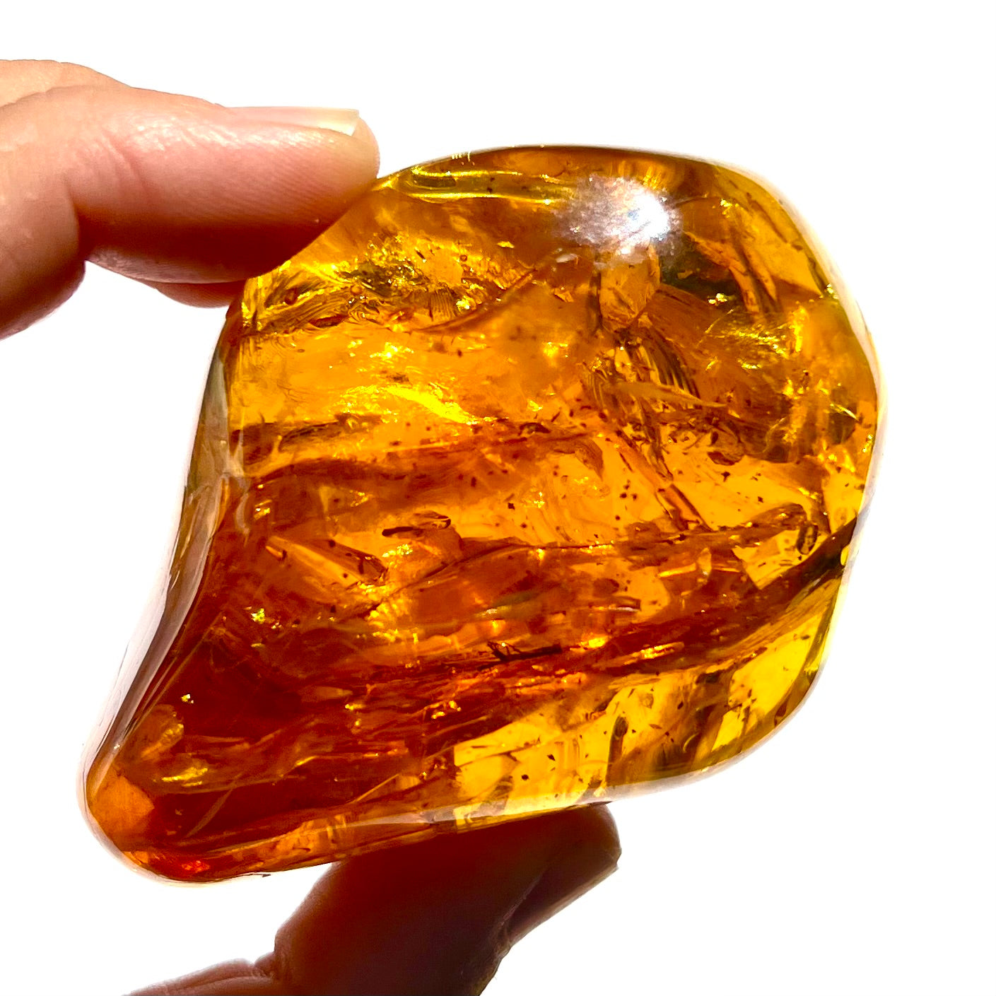 Ambre 1