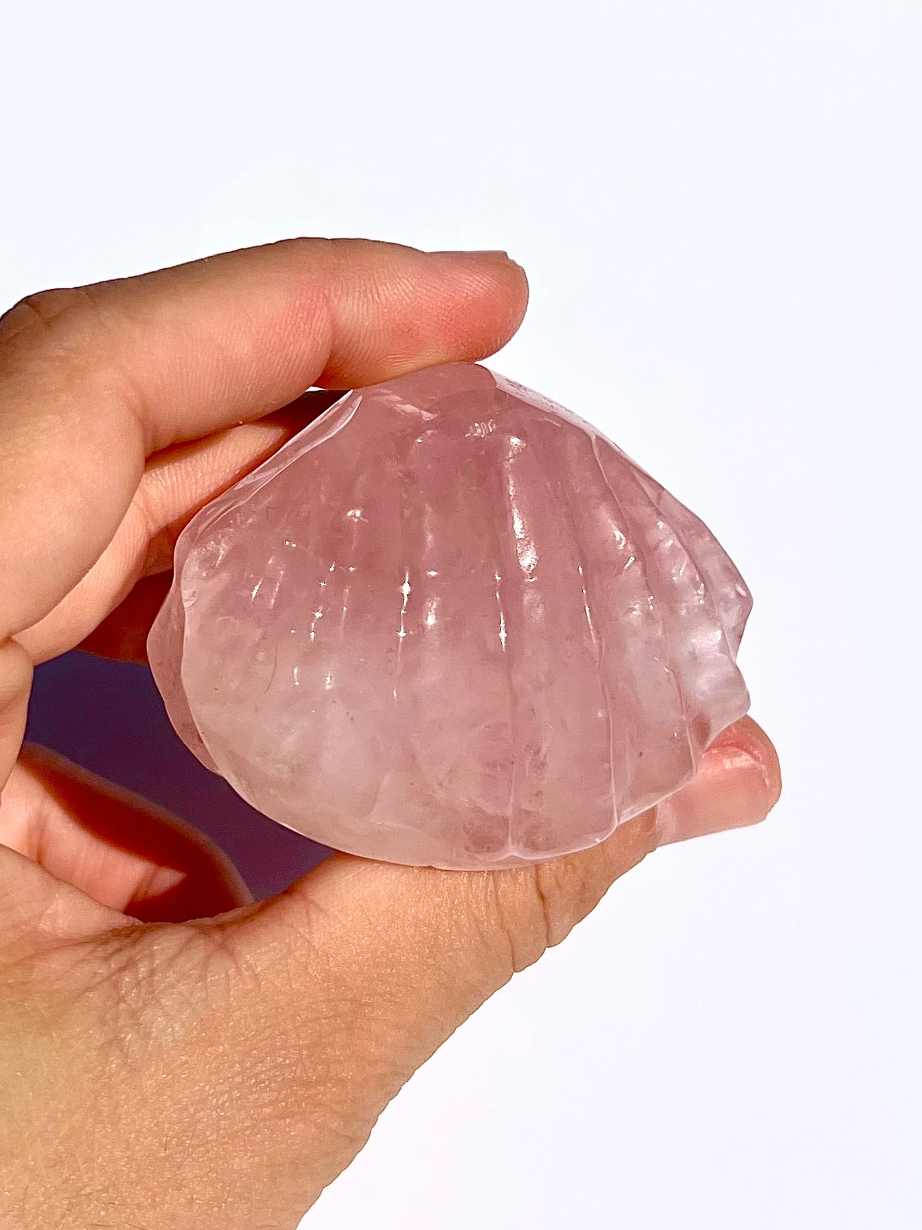 Coquillage en Quartz rose 1