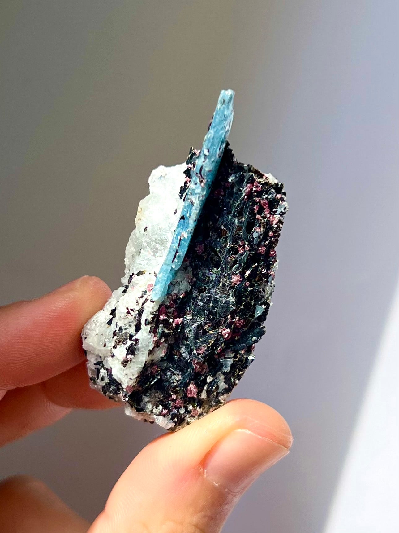 Spécimen Cyanite / Grenat / Biotite / Albite / Quartz 6
