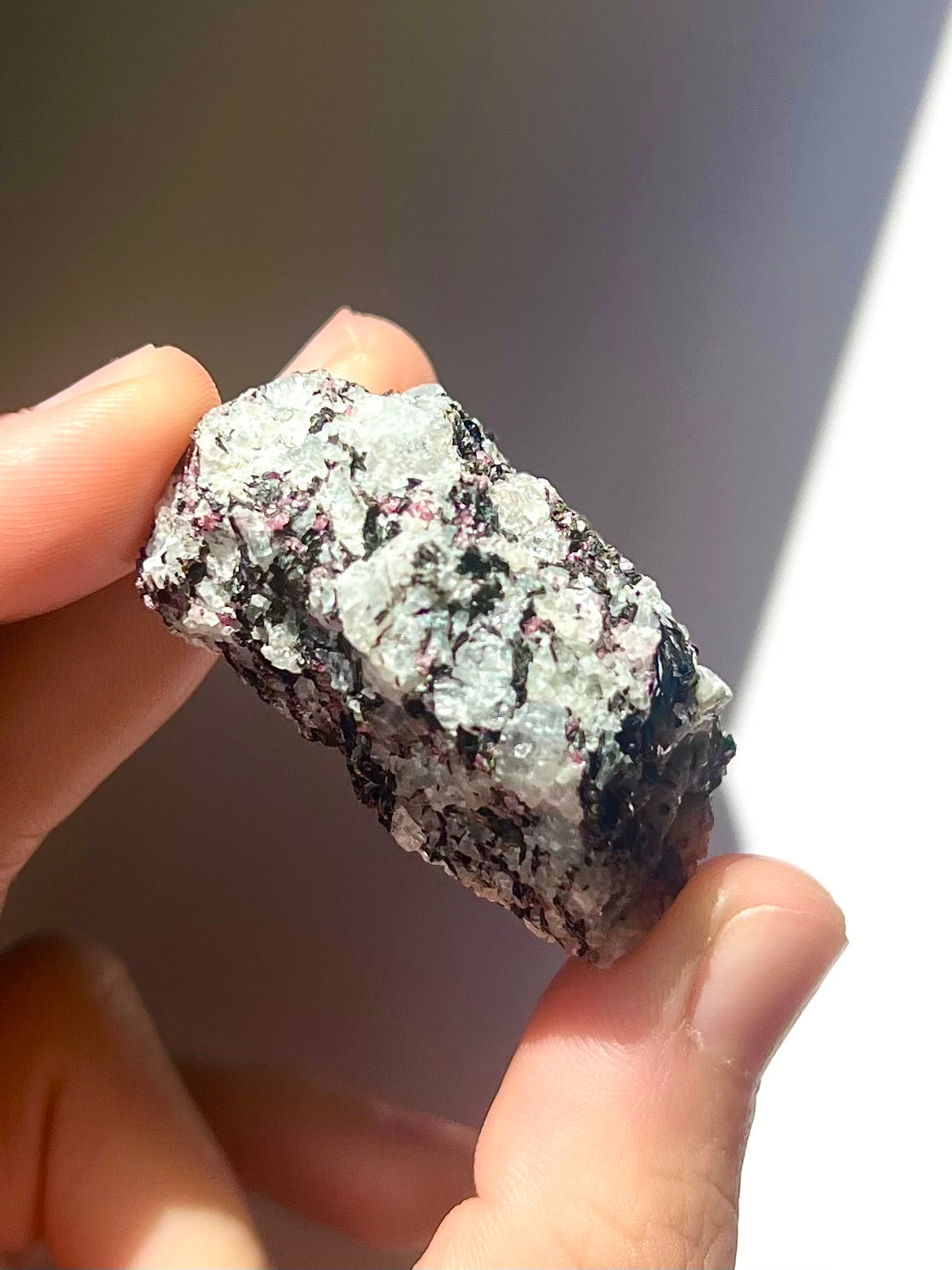 Spécimen Cyanite / Grenat / Biotite / Albite / Quartz 9