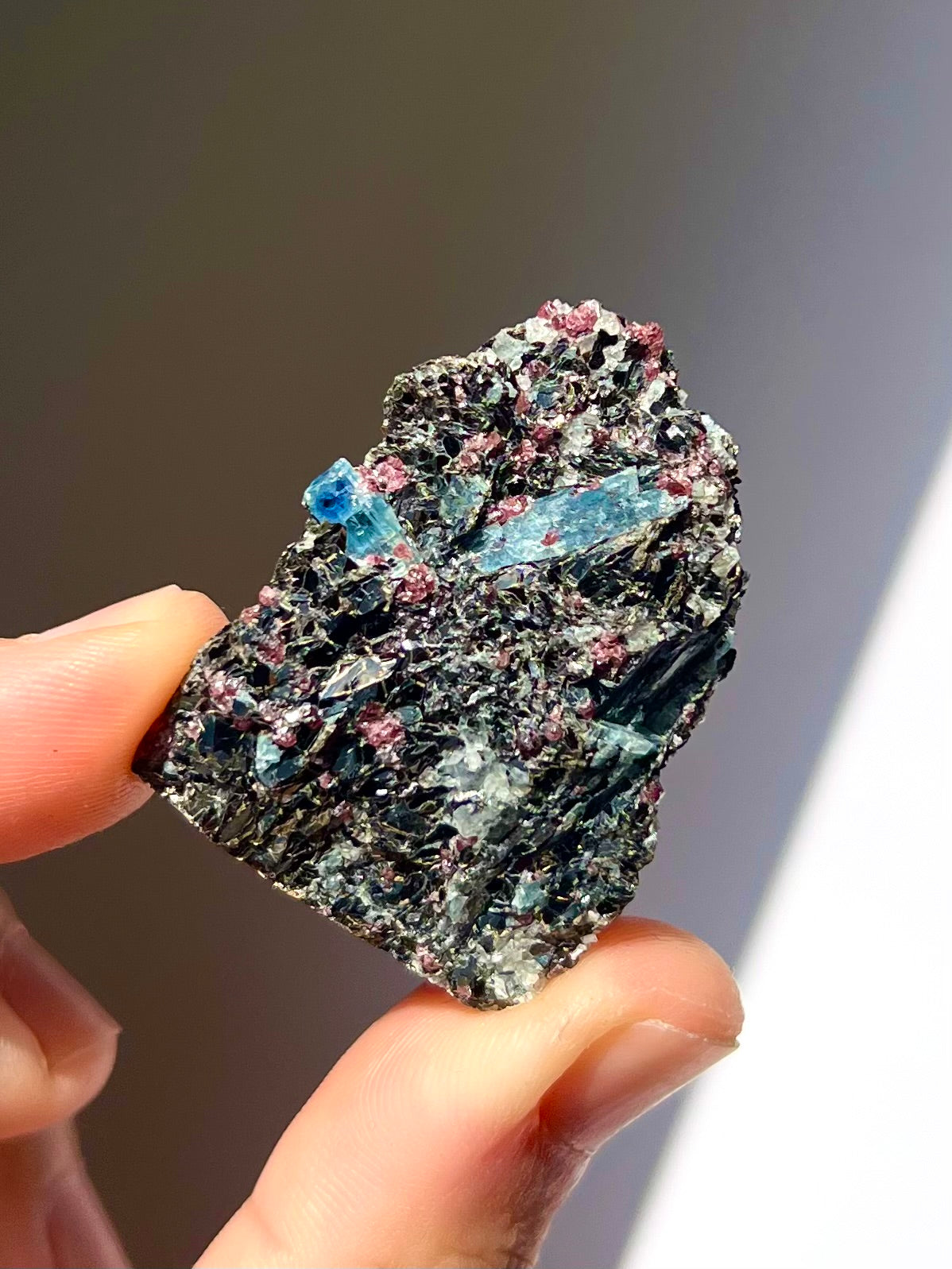 Spécimen Cyanite / Grenat / Biotite / Albite / Quartz 3