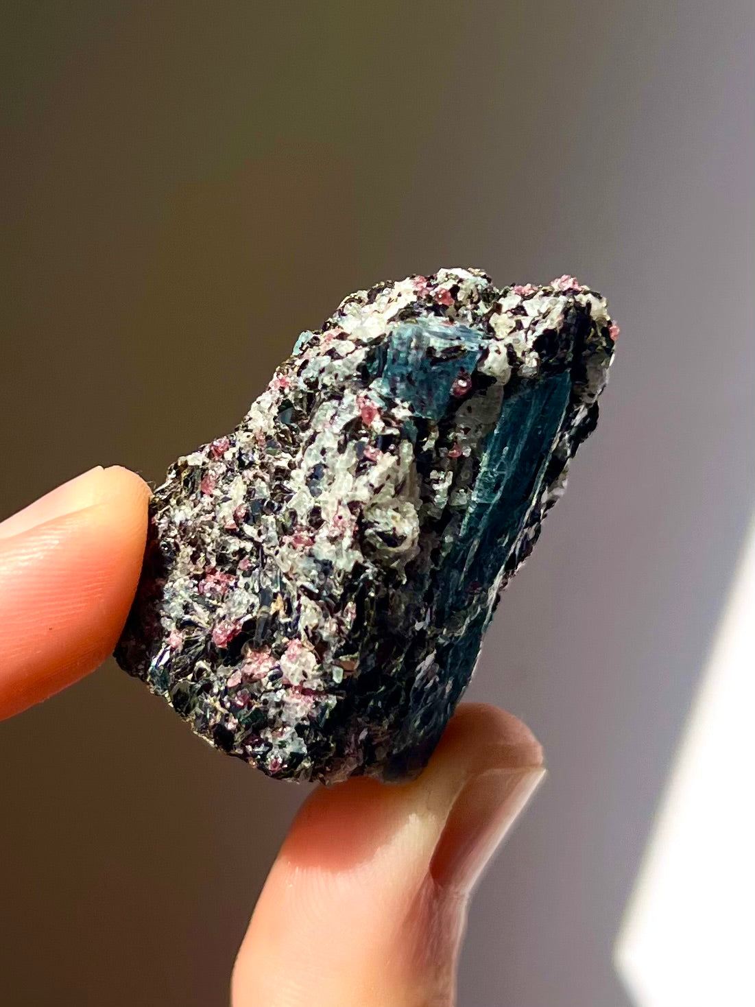 Spécimen Cyanite / Grenat / Biotite / Albite / Quartz 3