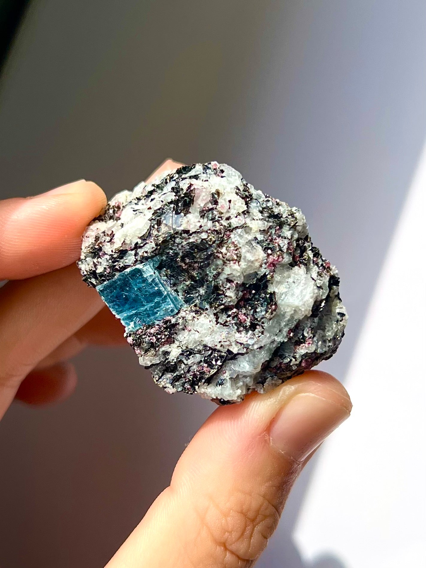 Spécimen Cyanite / Grenat / Biotite / Albite / Quartz 9