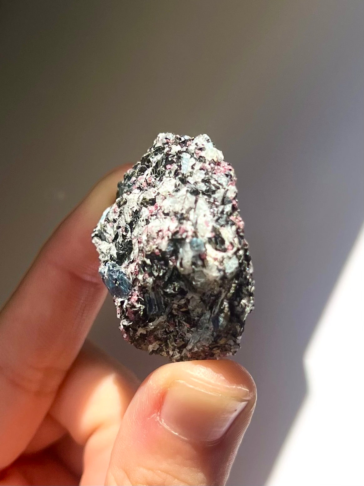 Spécimen Cyanite / Grenat / Biotite / Albite / Quartz 10
