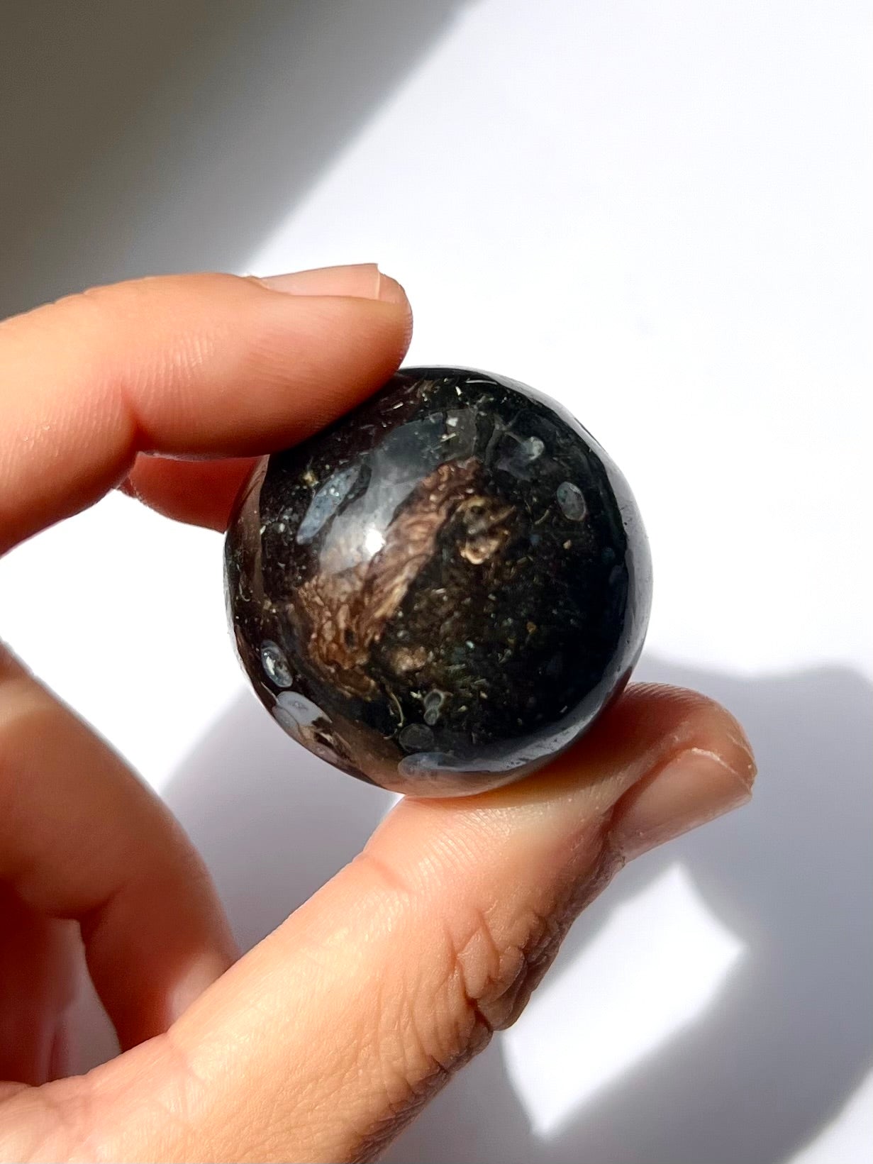 Sphère de Fossile / Agate Turitelle 2
