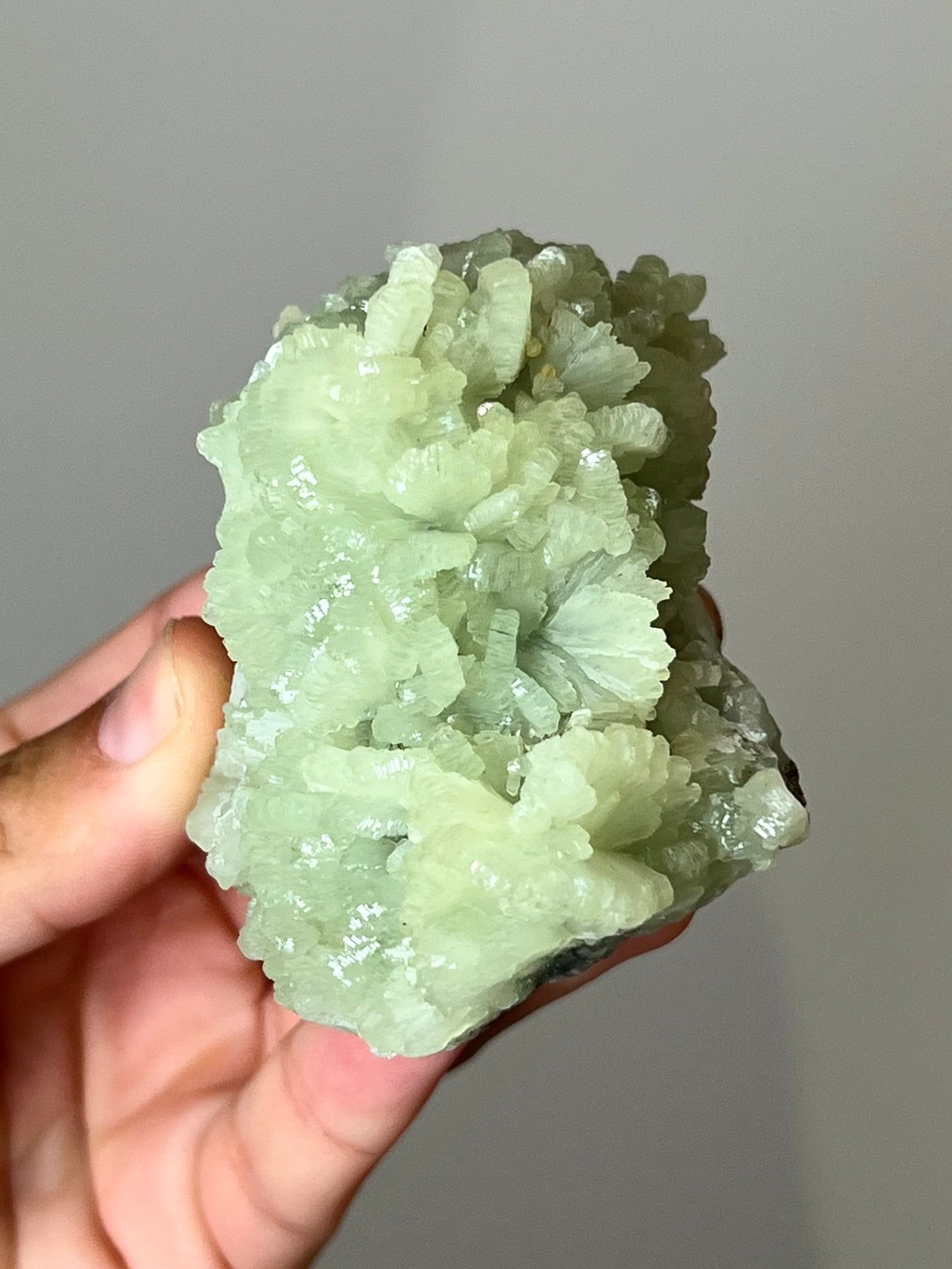 Prehnite brute 2