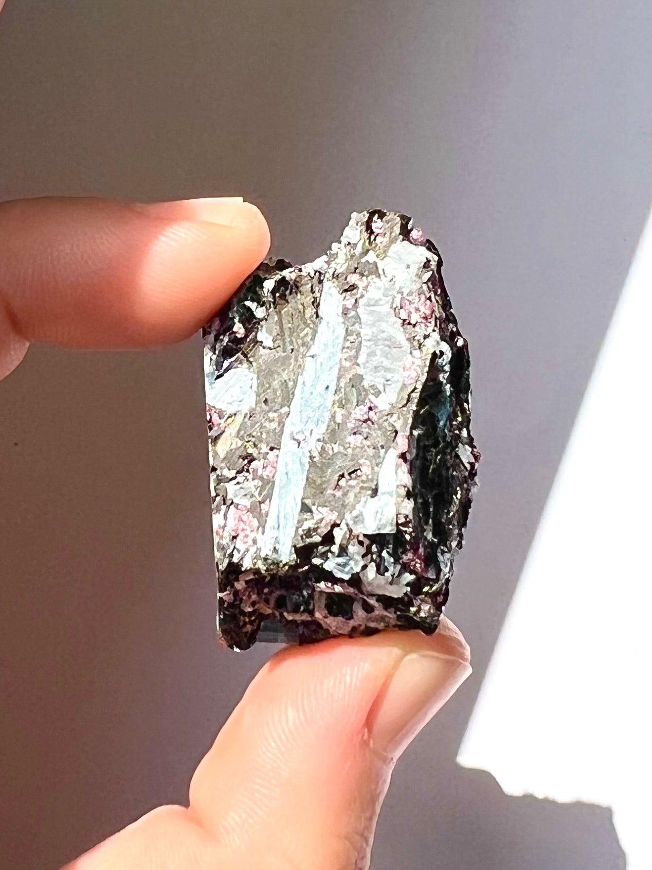 Spécimen Cyanite / Grenat / Biotite / Albite / Quartz 1