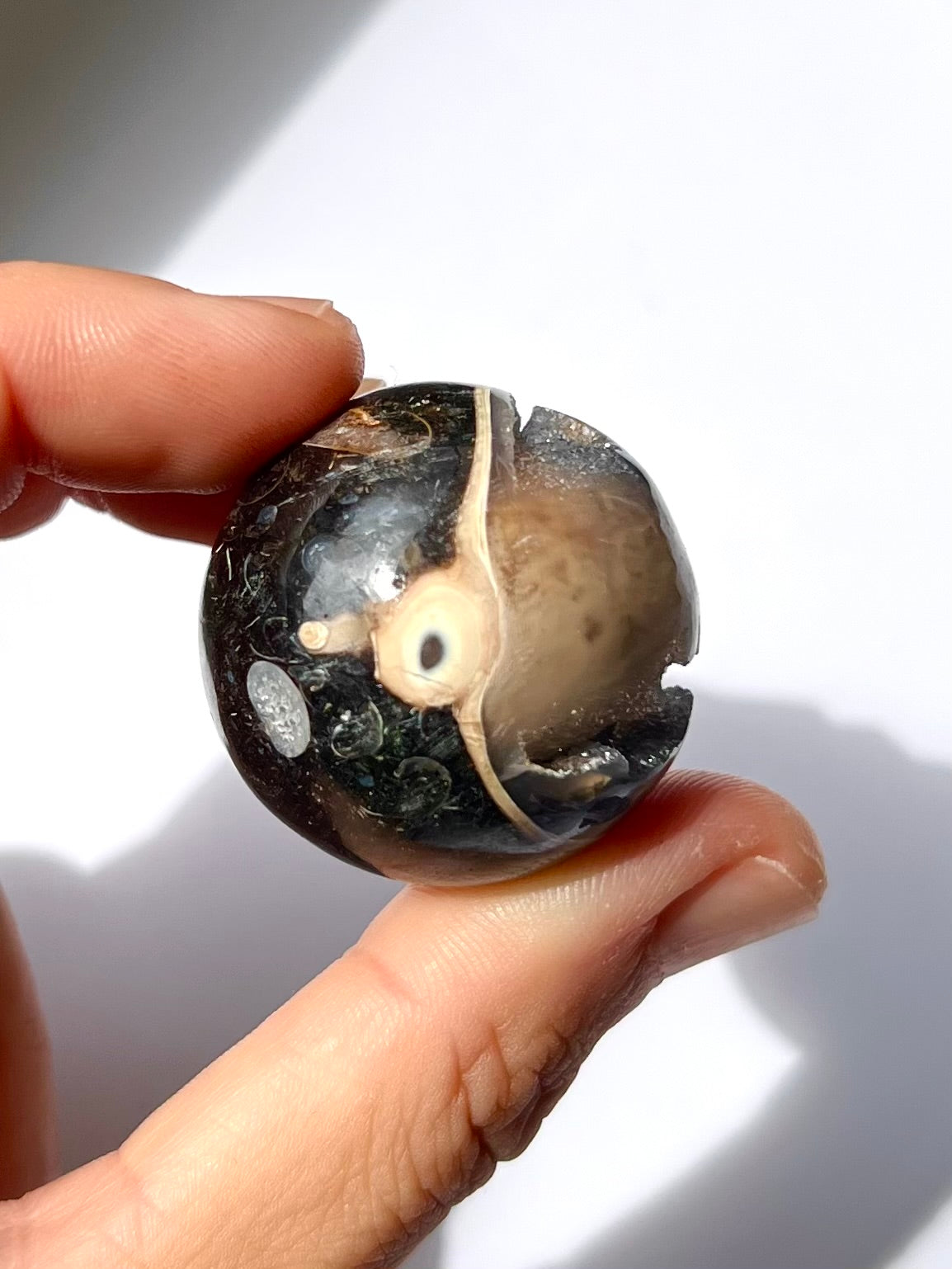 Sphère de Fossile / Agate Turitelle 2