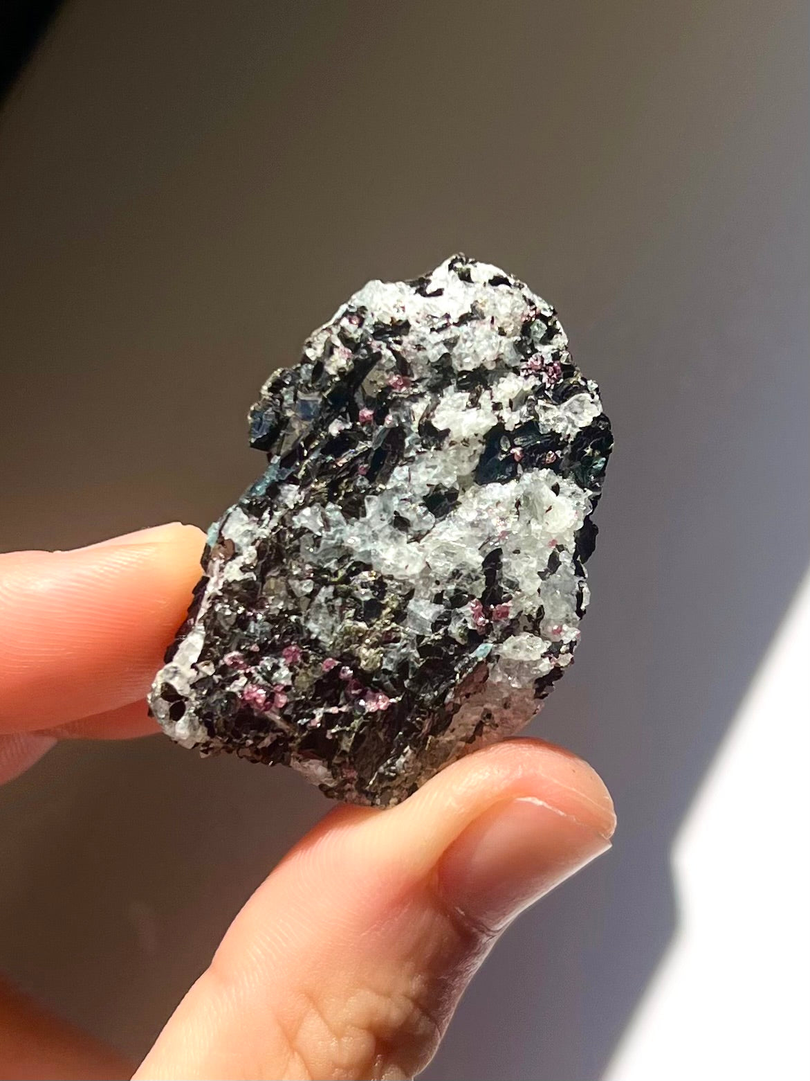 Spécimen Cyanite / Grenat / Biotite / Albite / Quartz 11