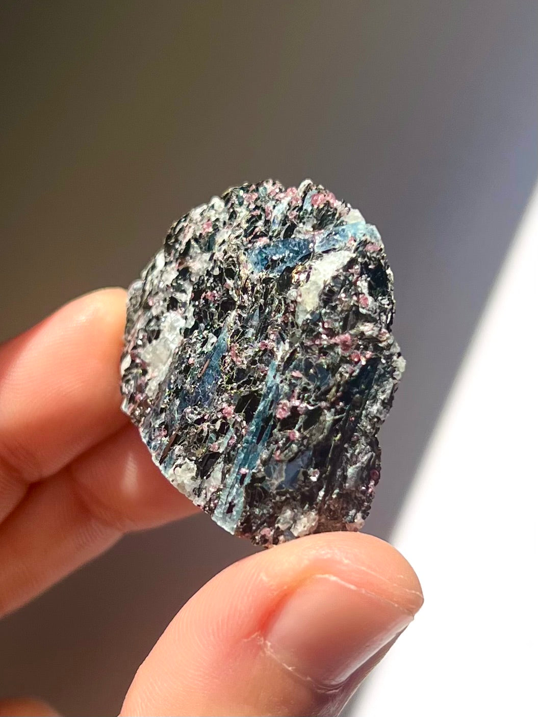 Spécimen Cyanite / Grenat / Biotite / Albite / Quartz 10