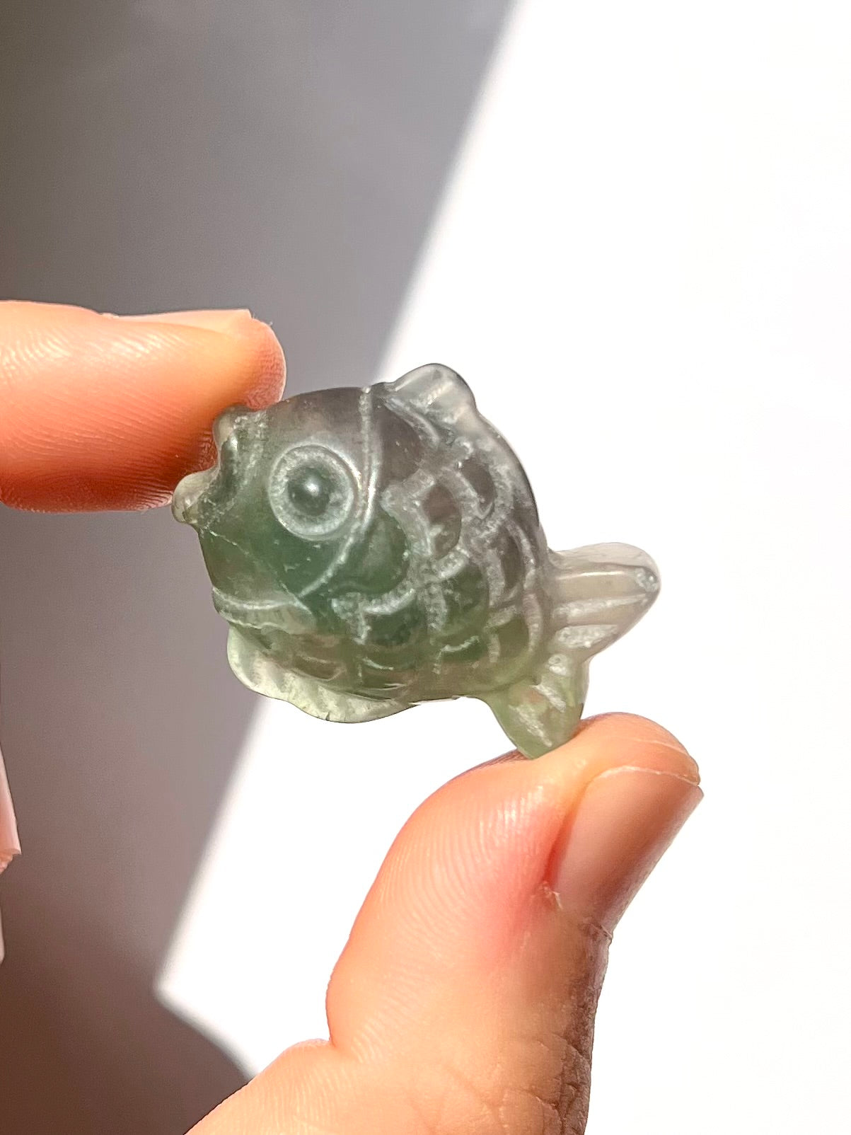 Poisson de Fluorite 4