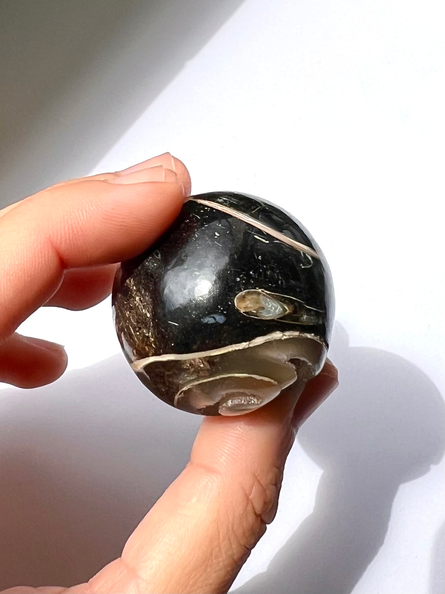 Sphère en Agate fossile Turitelle 1
