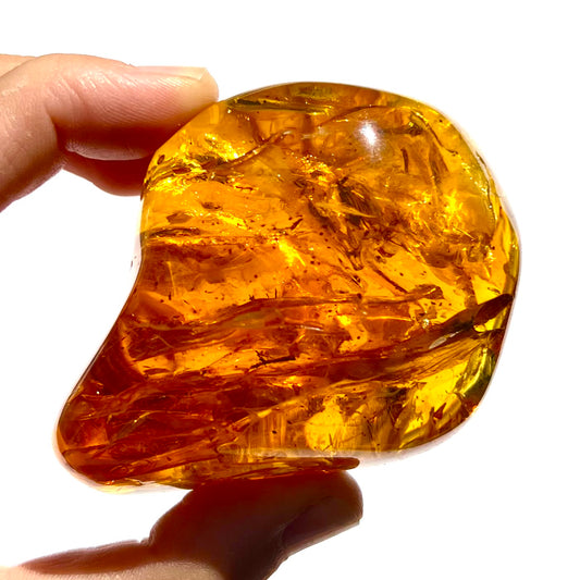 Ambre 1