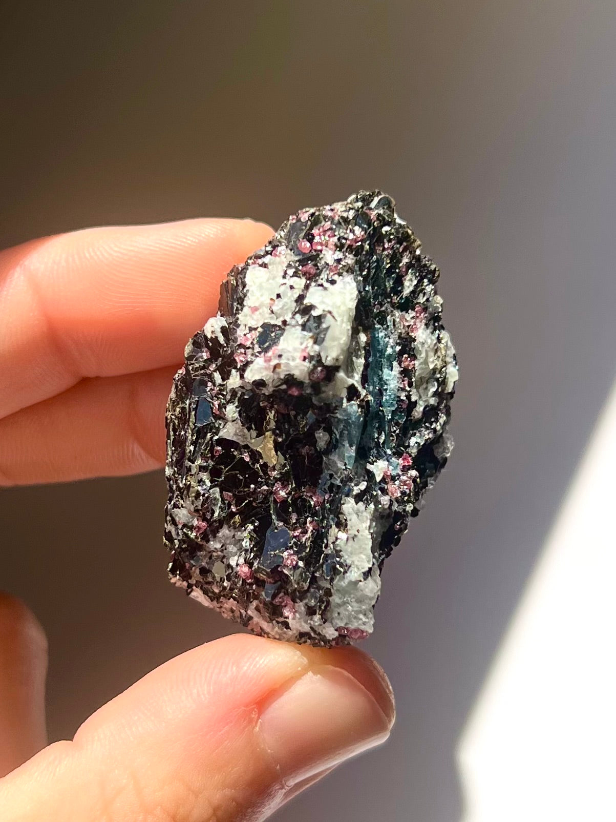 Spécimen Cyanite / Grenat / Biotite / Albite / Quartz 12