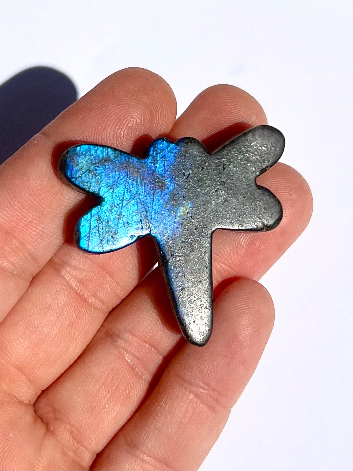 Libellule en Labradorite 3