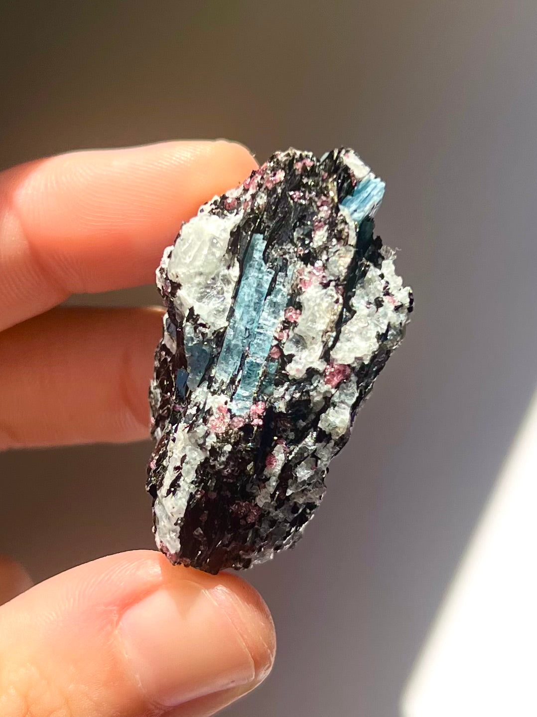 Spécimen Cyanite / Grenat / Biotite / Albite / Quartz 12