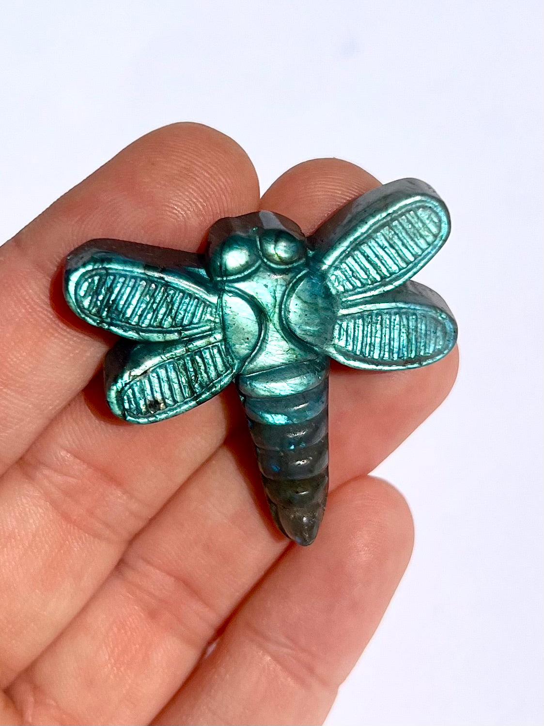 Libellule en Labradorite 2