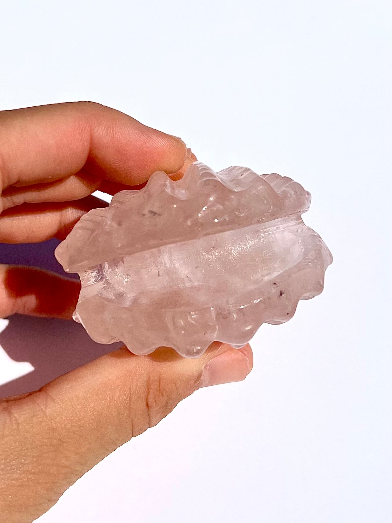 Coquillage en Quartz rose 2
