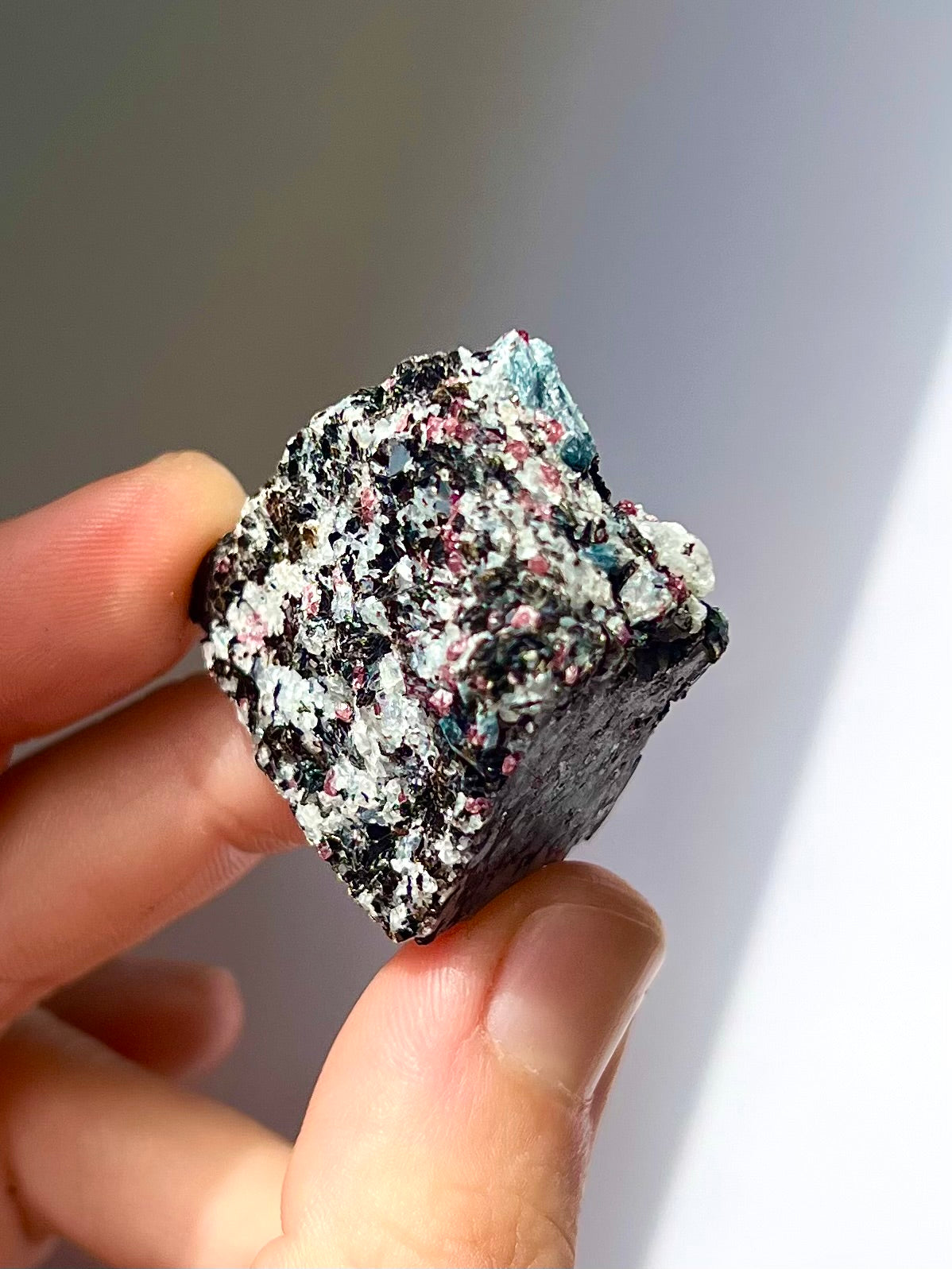 Spécimen Cyanite / Grenat / Biotite / Albite / Quartz 7