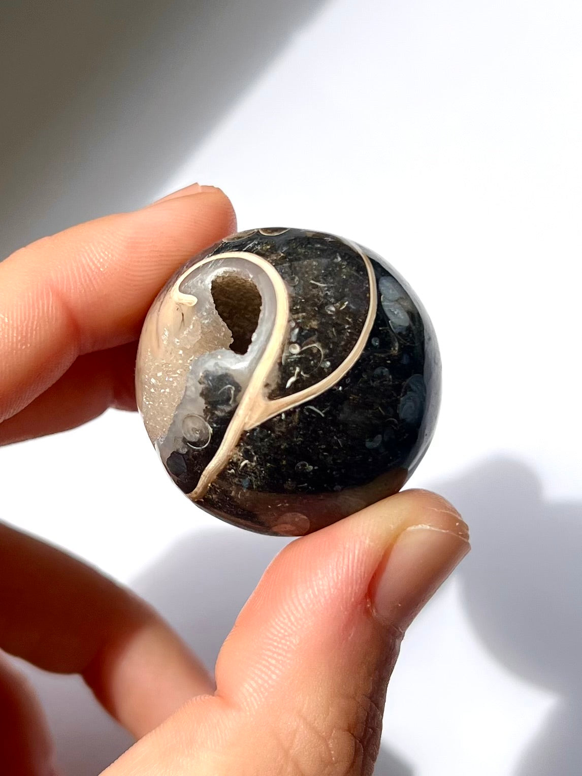 Sphère de Fossile / Agate Turitelle 2