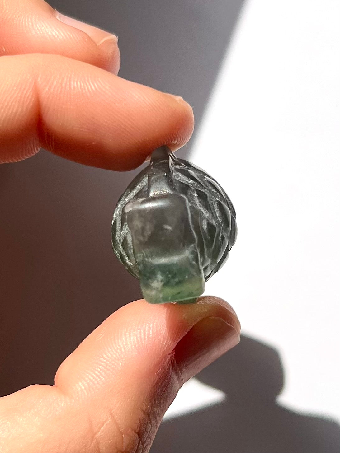 Poisson de Fluorite 4