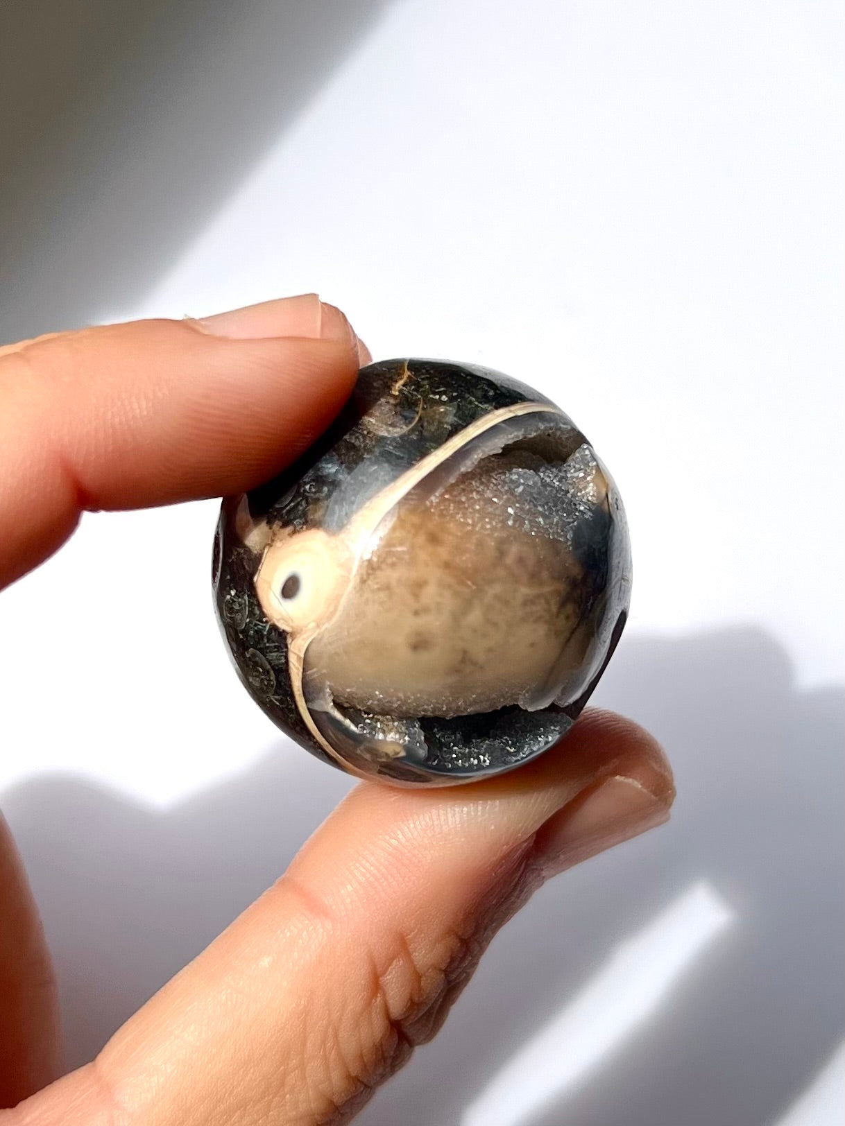 Sphère de Fossile / Agate Turitelle 2