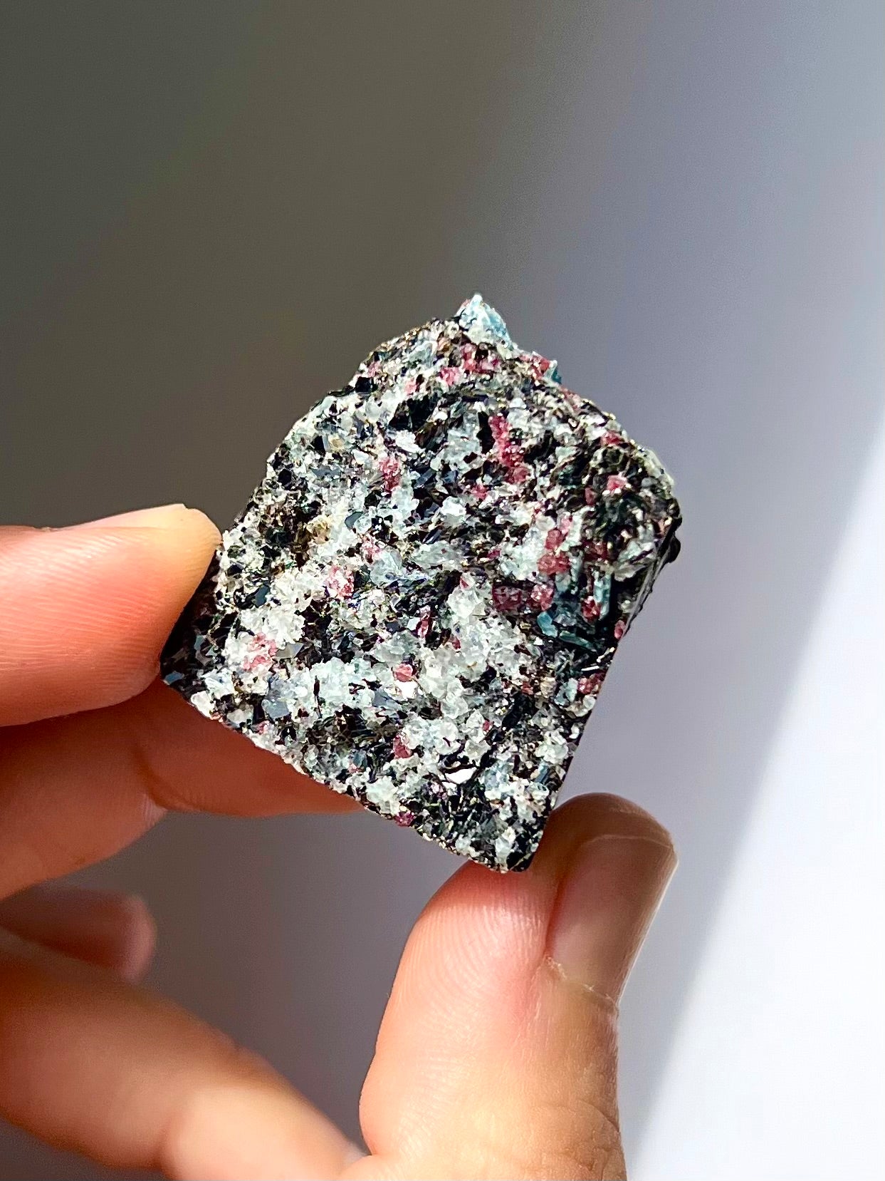 Spécimen Cyanite / Grenat / Biotite / Albite / Quartz 7