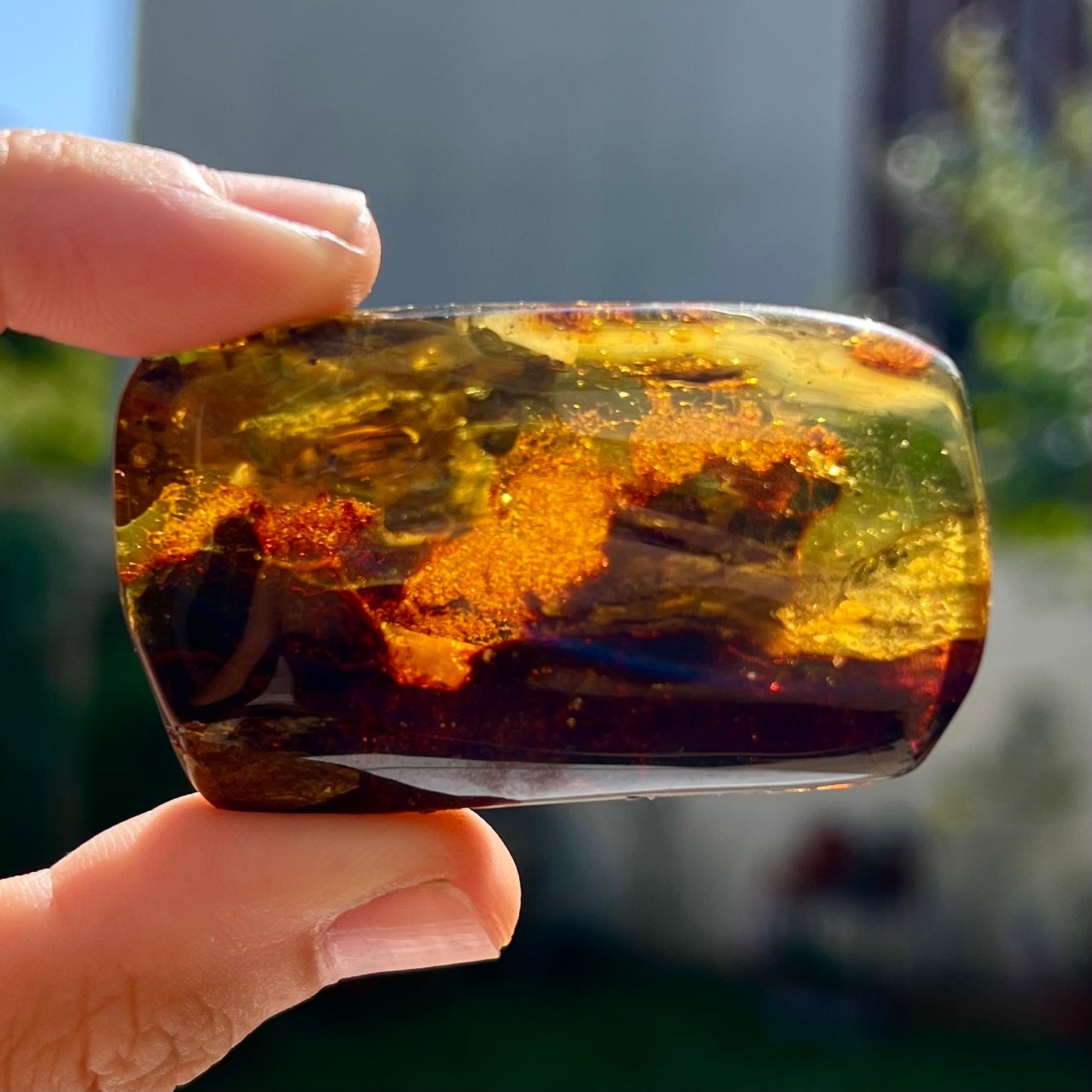 Ambre avec insecte 6