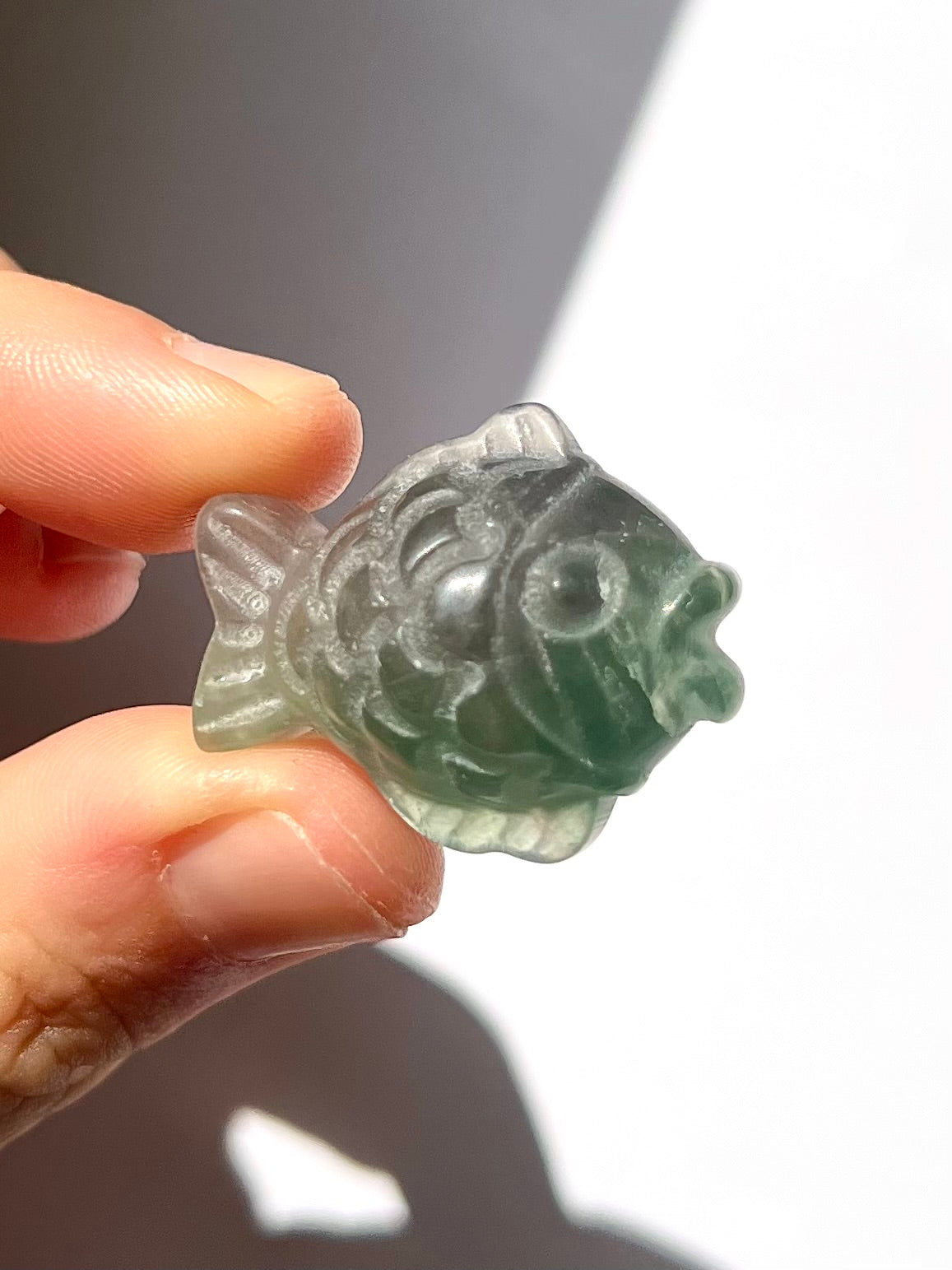 Poisson de Fluorite 4