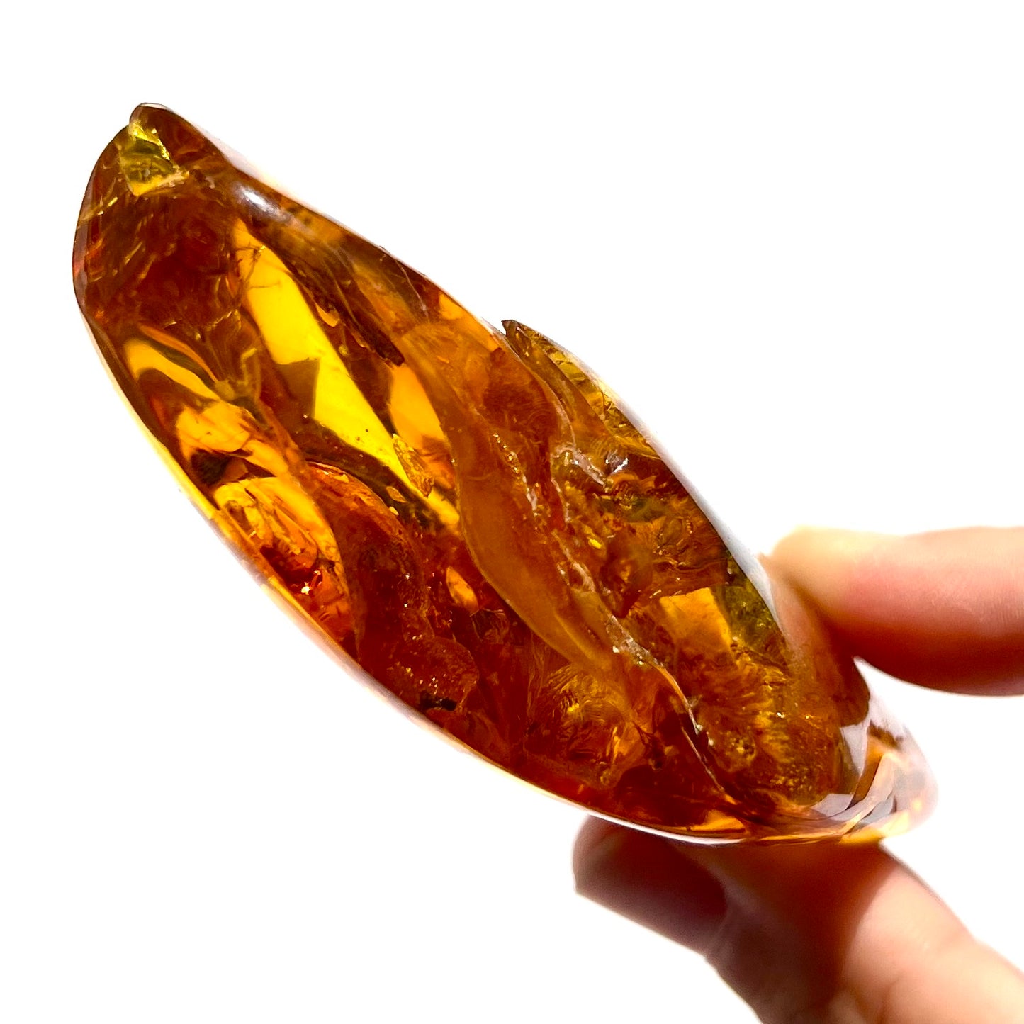 Ambre avec insecte 1