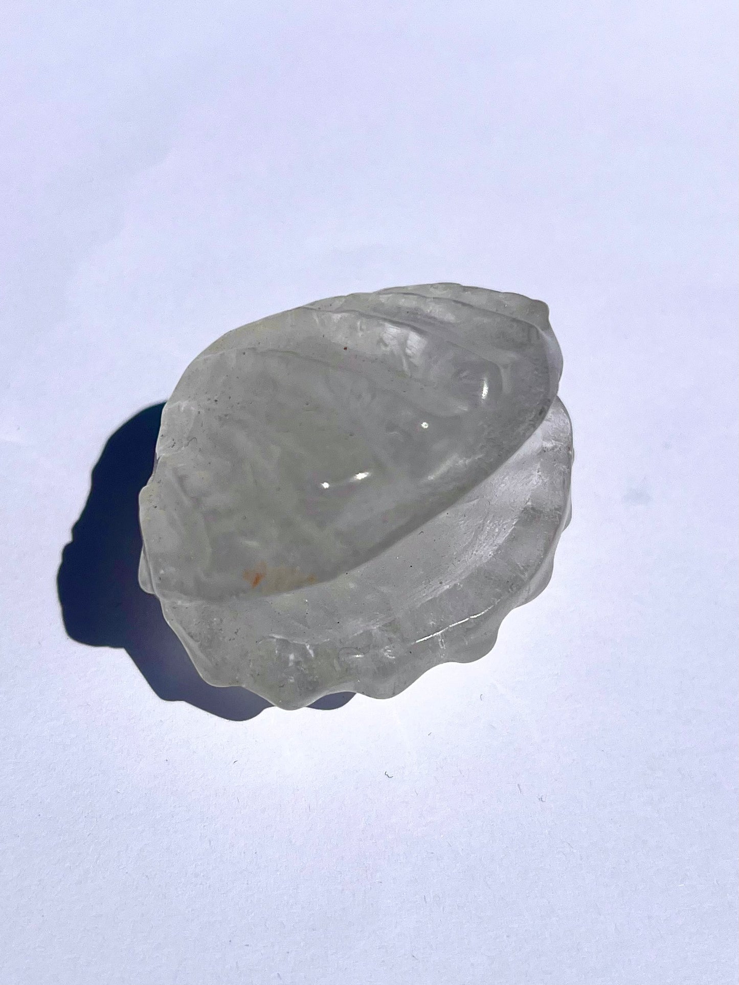 Coquillage en Cristal de roche 1