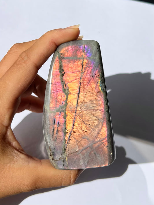 Forme libre Labradorite 9