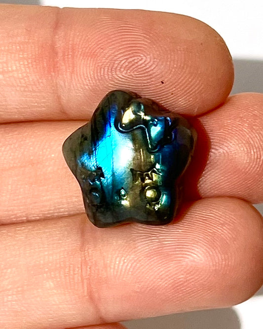 Étoile de Labradorite 1