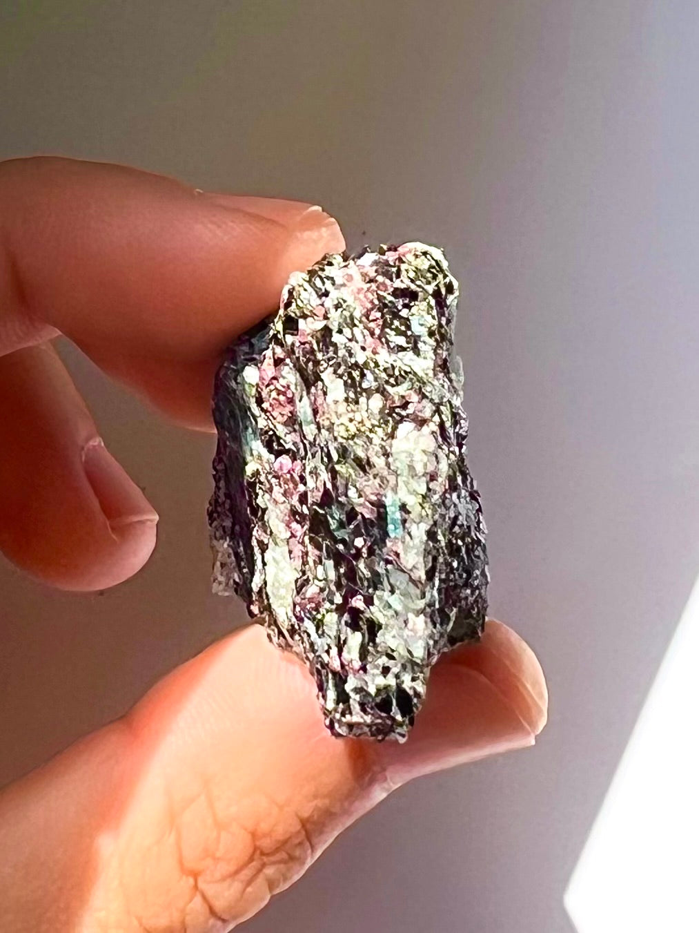 Spécimen Cyanite / Grenat / Biotite / Albite / Quartz 2