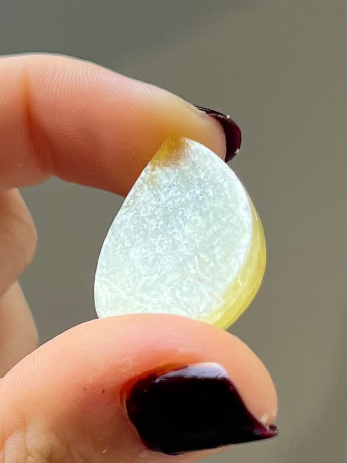 Goutte en Muscovite 10