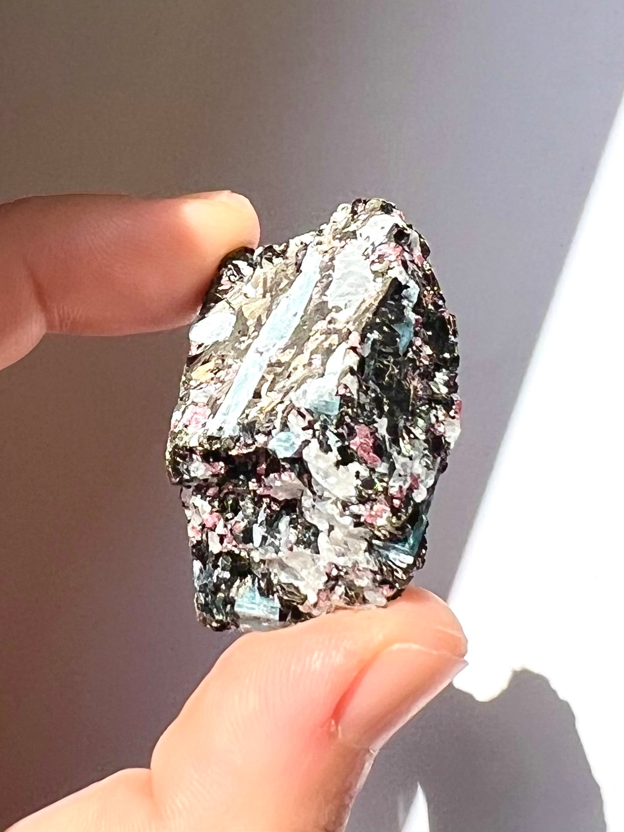 Spécimen Cyanite / Grenat / Biotite / Albite / Quartz 1