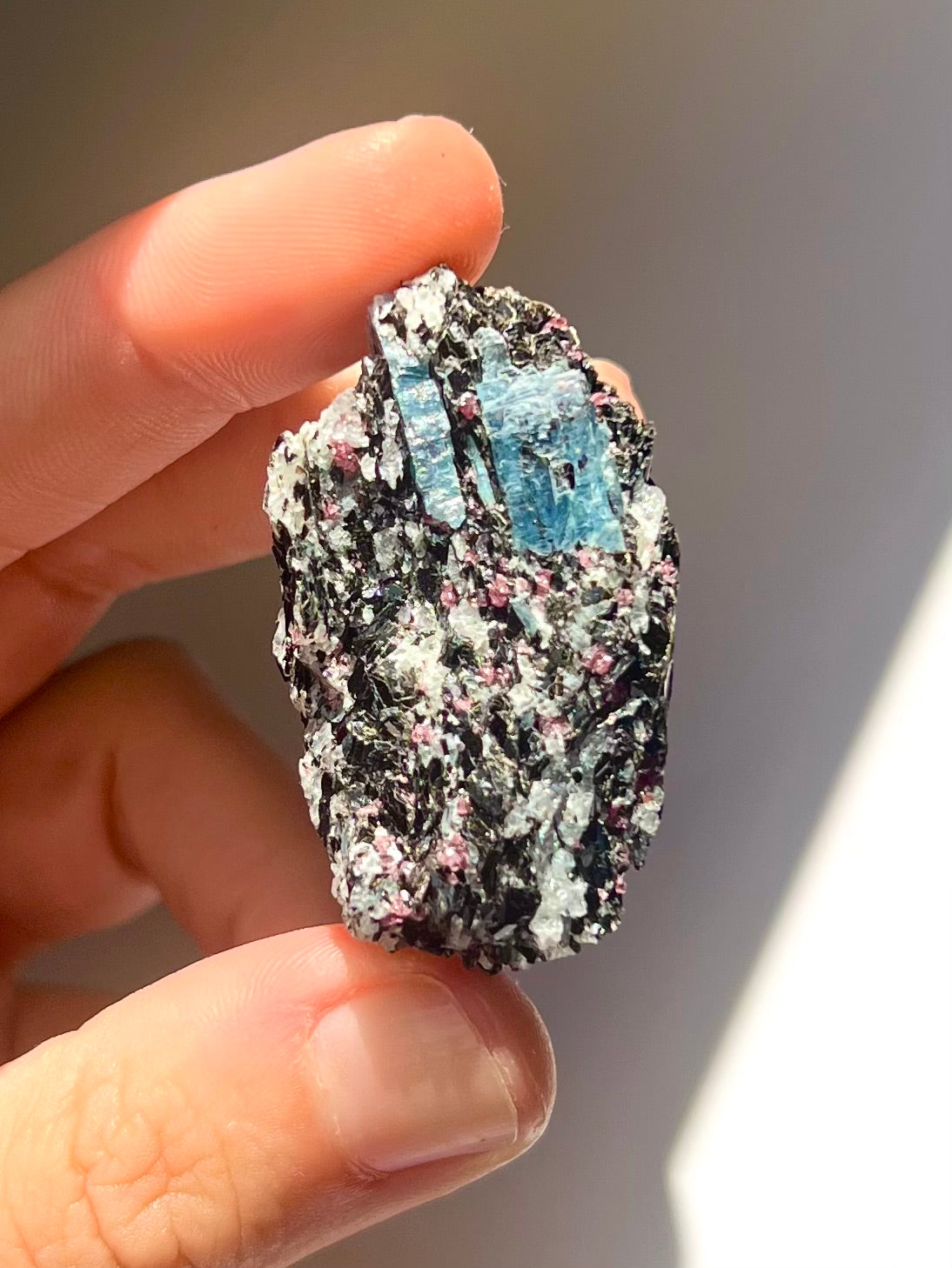 Spécimen Cyanite / Grenat / Biotite / Albite / Quartz 12