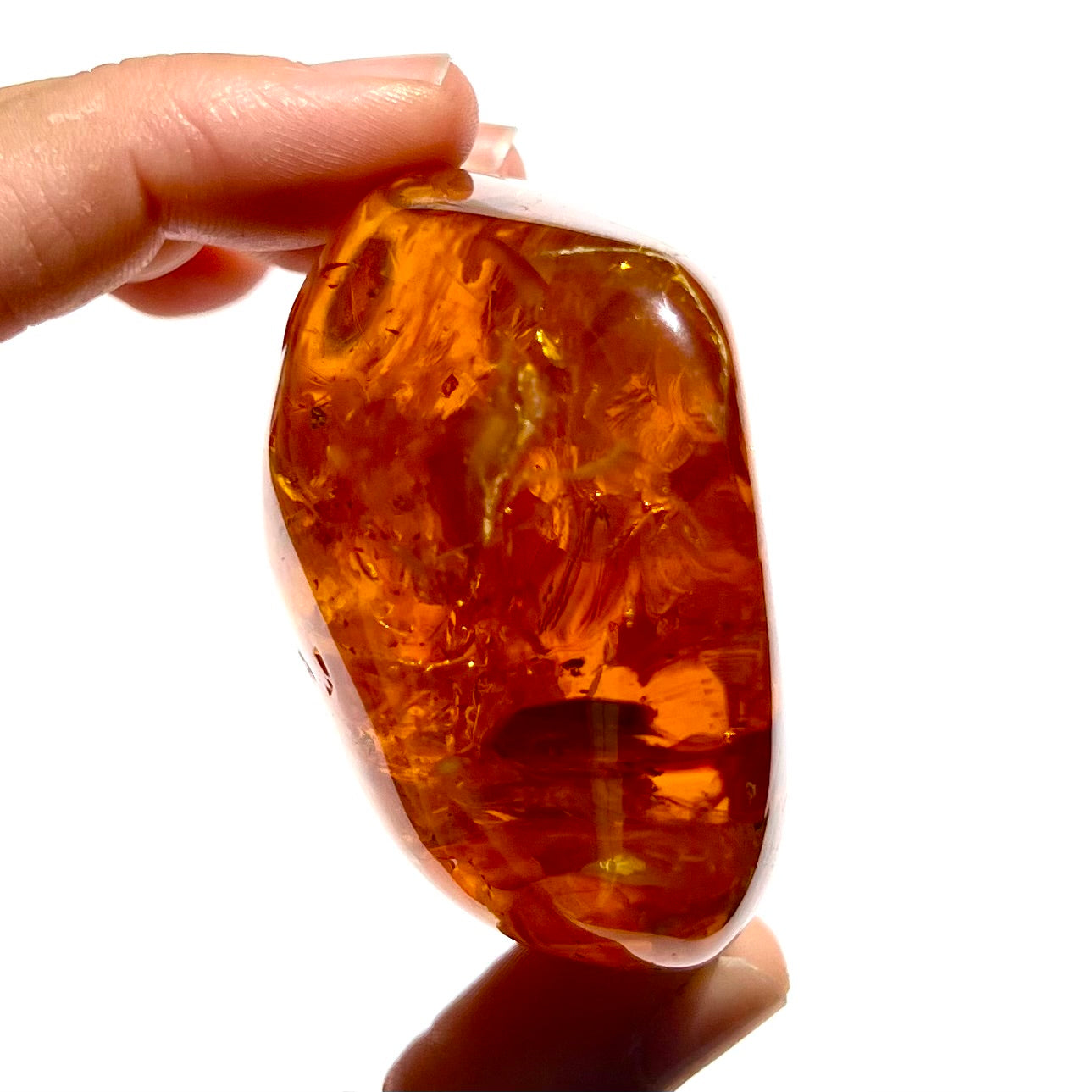 Ambre 1