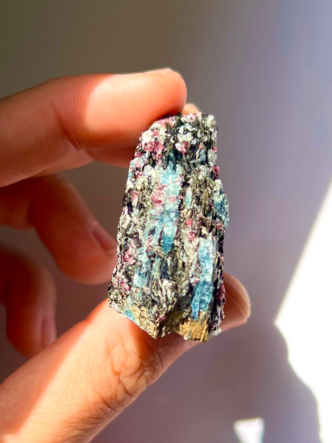 Spécimen Cyanite / Grenat / Biotite / Albite / Quartz 2